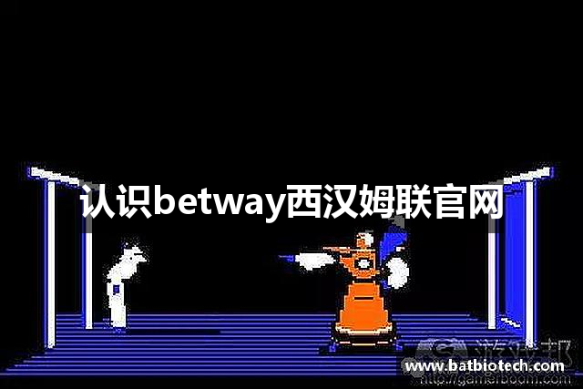 认识betway西汉姆联官网